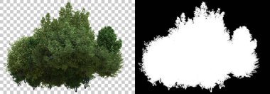 Yeşil yaz bitkileri arka planda maskeyle izole edilmiş. 3d görüntüleme - illüstrasyon