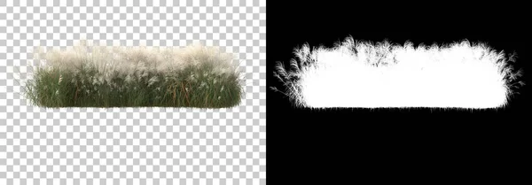 背靠着面具的树叶孤岛 3D渲染 — 图库照片