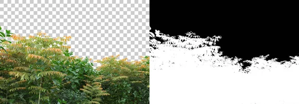 Island Foliage Isolated Background Mask Rendering Illustration — Stock Photo, Image