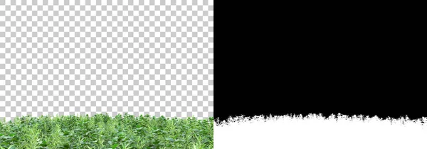 Island Foliage Isolated Background Mask Rendering Illustration — Stock Photo, Image