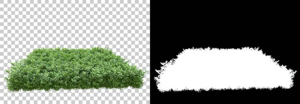 Island Foliage Isolated Background Mask Rendering Illustration — Stock Photo, Image