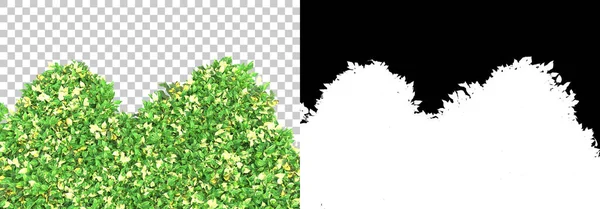 草和花的岛屿隔离在背景与面具 3D渲染 — 图库照片