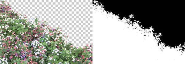 Трава Цветы Острова Изолированы Заднем Плане Маской Рендеринг Иллюстрация — стоковое фото