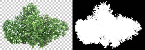 マスクで背景に隔離された草や花の島 3Dレンダリング イラスト — ストック写真