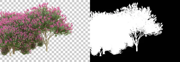 Трава Цветы Острова Изолированы Заднем Плане Маской Рендеринг Иллюстрация — стоковое фото
