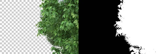 Çimen Çiçek Adası Arka Planda Maskeyle Izole Edilmiş Görüntüleme Illüstrasyon — Stok fotoğraf