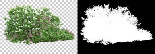 Gras Und Blumen Insel Isoliert Auf Dem Hintergrund Mit Maske — Stockfoto