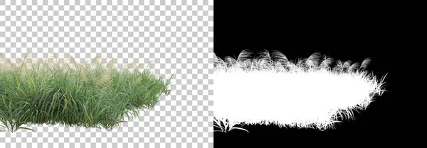 Трава Острів Квітів Ізольовані Фоні Маскою Візуалізація Ілюстрація — стокове фото