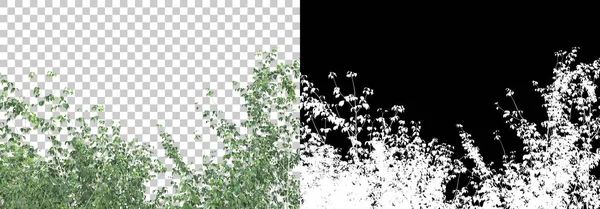 マスクで背景に隔離された春の植物 3Dレンダリング イラスト — ストック写真