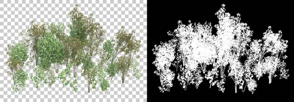 Piante Primaverili Isolate Sfondo Con Maschera Rendering Illustrazione — Foto Stock