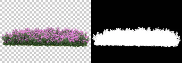 Plantas Florestais Isoladas Fundo Com Máscara Renderização Ilustração — Fotografia de Stock