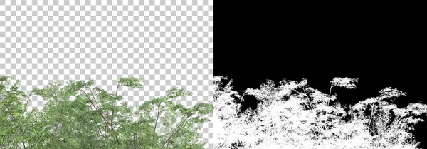 背景上有面具的森林植物 3D渲染 — 图库照片
