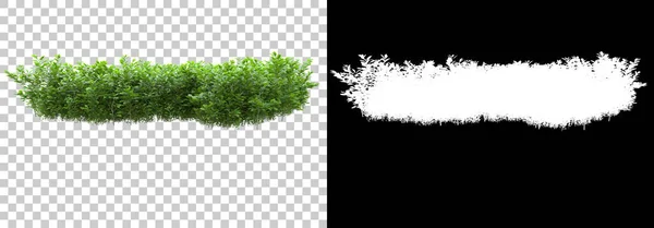 Forest Plants Isolated Background Mask Rendering Illustration — Stock Photo, Image