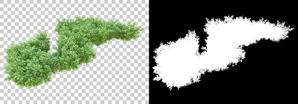 Plantas Verão Verdes Isoladas Fundo Com Máscara Renderização Ilustração — Fotografia de Stock