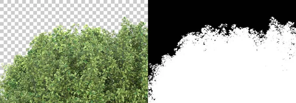 Yeşil Yaz Bitkileri Arka Planda Maskeyle Izole Edilmiş Görüntüleme Illüstrasyon — Stok fotoğraf