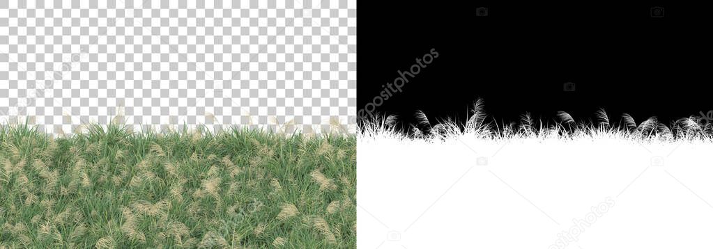 Grass and flowers island isolated on background with mask. 3d rendering - illustration