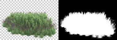 Yeşil yaz bitkileri arka planda maskeyle izole edilmiş. 3d görüntüleme - illüstrasyon