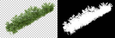 Yeşil yaz bitkileri arka planda maskeyle izole edilmiş. 3d görüntüleme - illüstrasyon