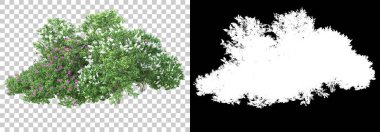 Yeşil yaz bitkileri arka planda maskeyle izole edilmiş. 3d görüntüleme - illüstrasyon