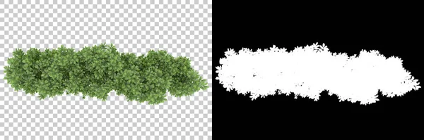 Зеленые Летние Растения Изолированы Заднем Плане Маской Рендеринг Иллюстрация — стоковое фото