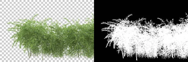 绿色的夏季植物 背对着面具隔离 3D渲染 — 图库照片