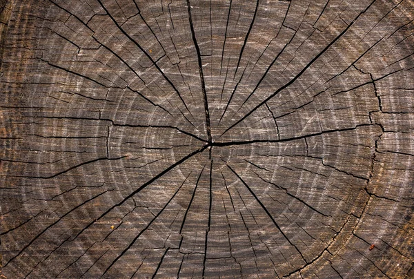wood texture with cracks.