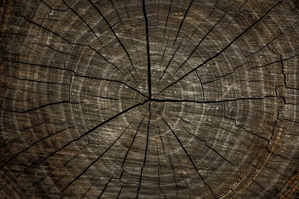 Σκοτάδι γδαρμένο ξύλο υφή με ρωγμές. Ξύλο υφή — Φωτογραφία Αρχείου