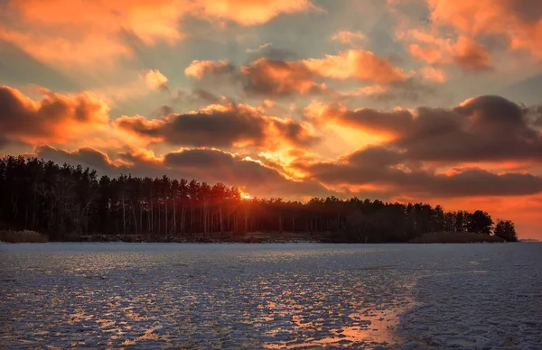 在冬季森林的日落时, 从冰湖上可以看到. 图库照片