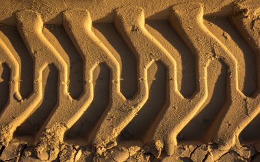 kabarık iz Ekskavatör ıslak kum üzerinde izler. portre.