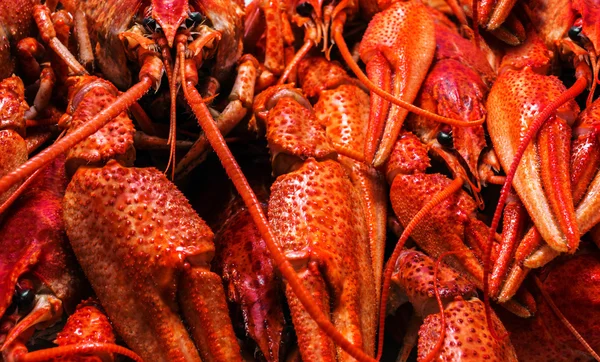 Fresh juicy boiled crawfish closeup. food background. top view. — Stock Photo, Image