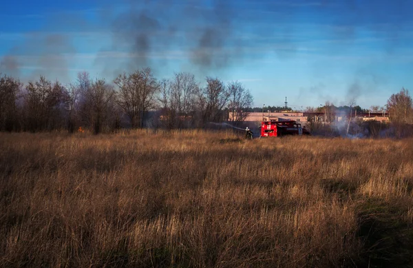 Hasičský vůz uhasit lesní požár. hasiče uhasit — Stock fotografie