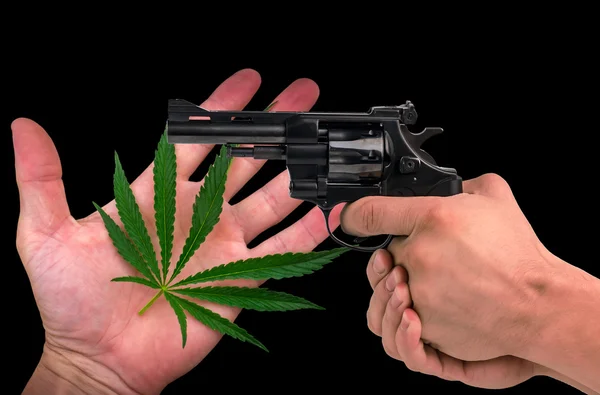 Marijuana on the palm, and a gun in his hand. isolated — Stock Photo, Image