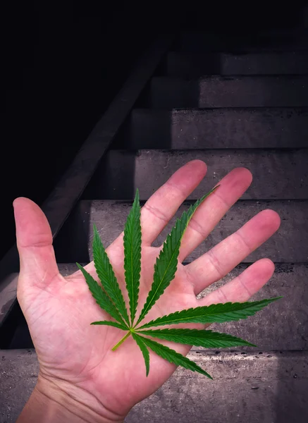 Cannabis sul palmo della mano. strada della marijuana nel buio — Foto Stock