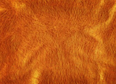 Bronz deri doku arka plan