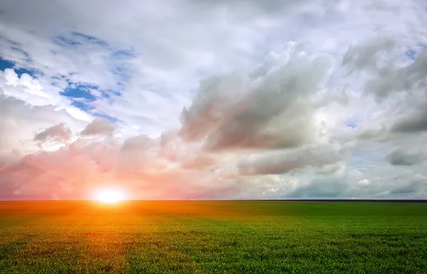 Pole s trávou a nádherné obloha při západu slunce Stock Snímky