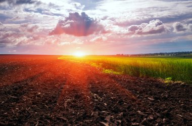  alan bulutlar ile günbatımında ekime hazır.