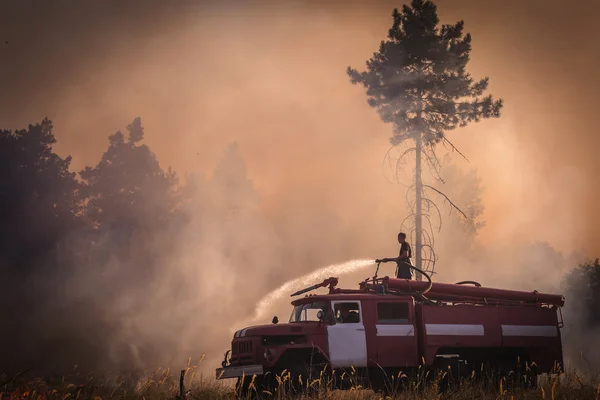 Itfaiyeci orman yangını söndürür — Stok fotoğraf