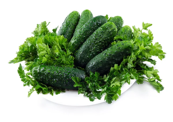 Juicy cucumber with dew  on a white background — Stock Photo, Image