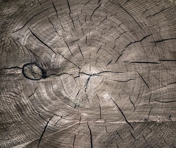 Textura de madera vieja — Foto de Stock