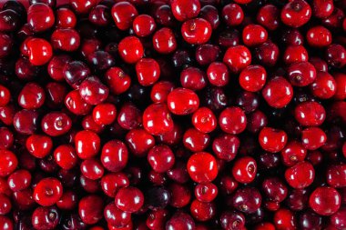 Juicy ripe cherry closeup mound