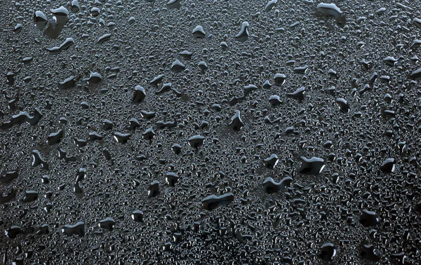 Regnet droppar på en svart bakgrund — Stockfoto