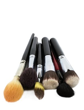 Professional makeup brushes isolated