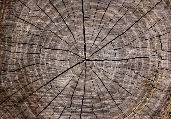 Παλιό ξύλο υφή με ρωγμές — Φωτογραφία Αρχείου