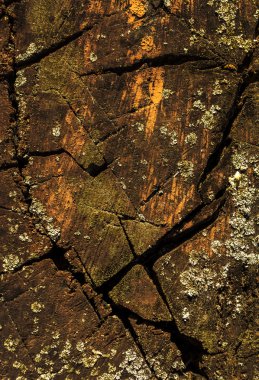 Eski Ahşap Arkaplan 