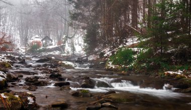 Kış ormanındaki dağ nehri 