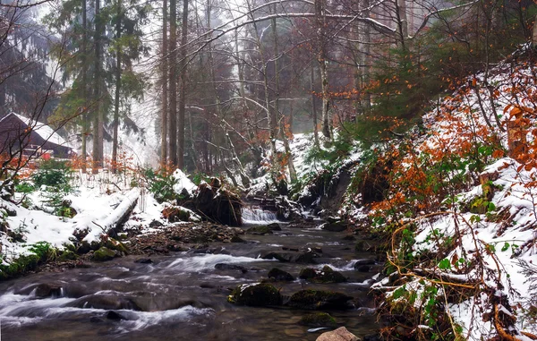 Fiume di montagna nella foresta invernale — Foto Stock