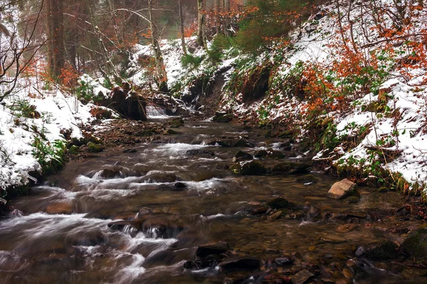 Rio de montanha na floresta, com muitas corredeiras e bancos nevados — Fotografia de Stock