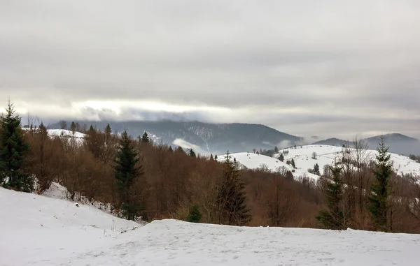 Montagna collinare innevata con bosco misto. montagna invernale — Foto Stock