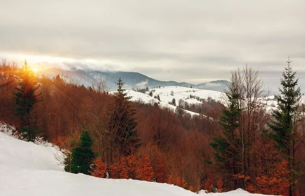 Tramonto tra le montagne innevate della foresta. paesaggio invernale — Foto Stock