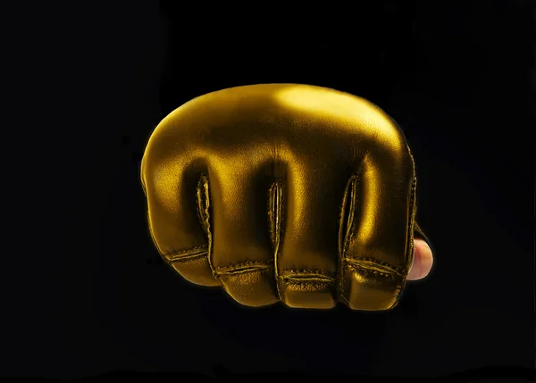 Gold Glove for the martial arts, mma. space for text. logo — Stock Photo, Image